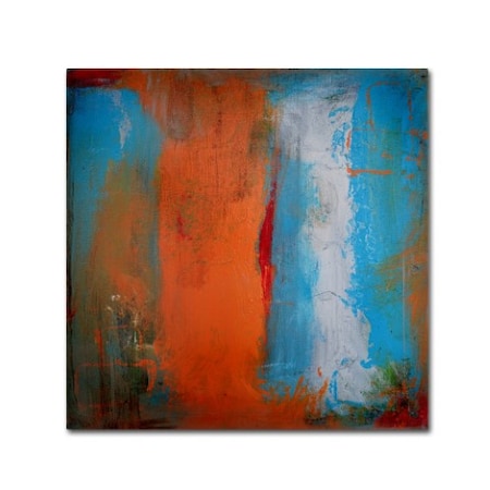 Nicole Dietz 'Orange Swatch' Canvas Art,24x24